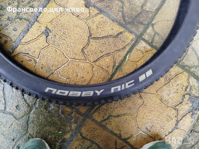 29 цола гума за велосипед колело schwalbe nobby nice 2.35 , снимка 2 - Части за велосипеди - 52305560
