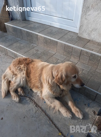 Продавам къща в с.чорбаджийско , снимка 2 - Къщи - 53723090