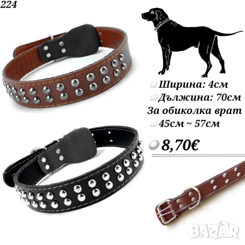 Нашийник от естествена кожа с капси за голямо куче. Каишка за голямо куче. Голям нашийник. Нашийници
