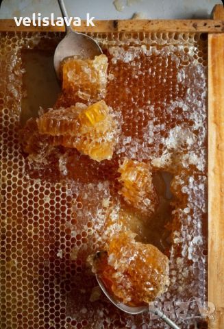 мед, снимка 2 - Пчелни продукти - 46065649