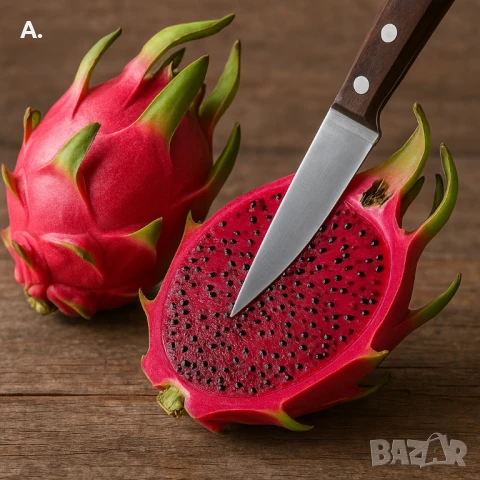 растение драконов плод червен 