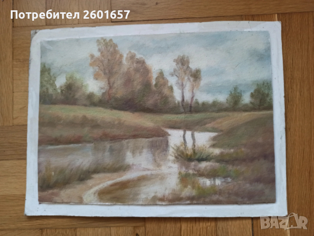 проф. Димитър Тасев, красив пейзаж 1965 г.