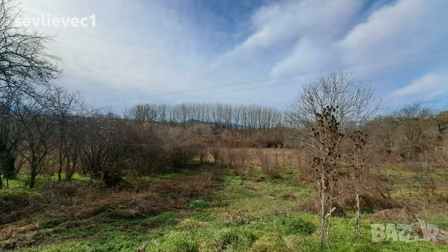 Продавам два съседни парцела в местност Севлиевски лозя , снимка 2 - Парцели - 54082851