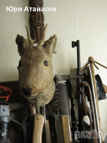 Ловен Трофей Сръндак! , снимка 2 - Декорация за дома - 52584494