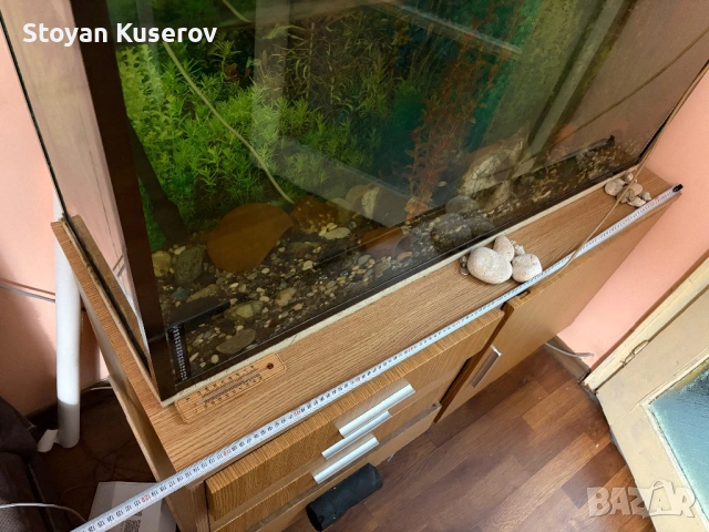 Аквариум с филтърна помпа и шкаф, снимка 8 - Аквариуми - 53759556