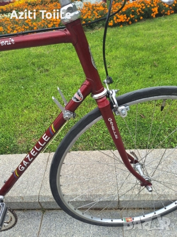 Gazelle tour de L.Avenir, снимка 2 - Велосипеди - 51682048