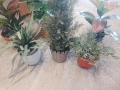 изкуствени цветя в саксии, снимка 1