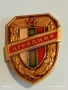 Значка от соца ОТРЯДНИК ДОБРОВОЛЕН ПОМОЩНИК МВР за КОЛЕКЦИЯ 52026, снимка 1