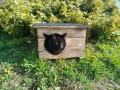 Къща за котки, Компакт, къщичка за коте, къщички за котета, колиби, снимка 6