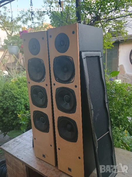 Dali 606 , снимка 1