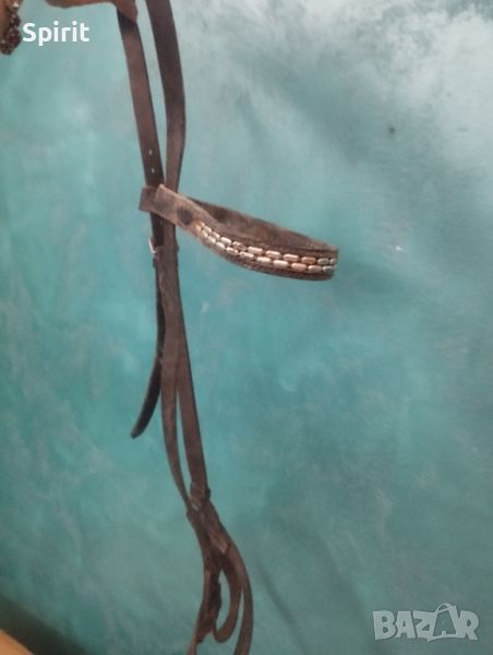 Юздечка, снимка 1