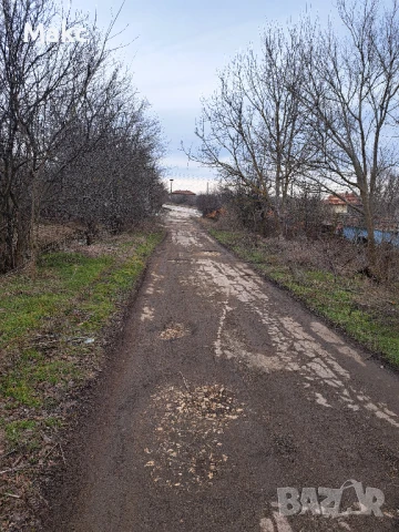 Продавам дворно място в село Николаевка, снимка 2 - Парцели - 50528946