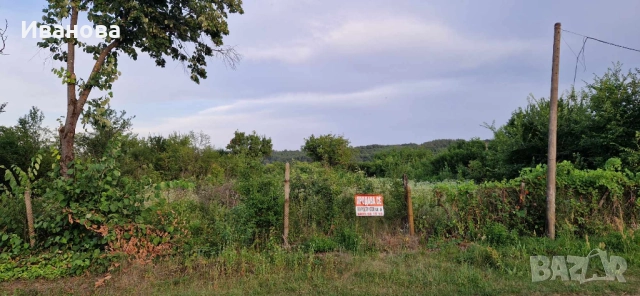 Продавам незастроен УПИ 1330 кв.м в с. ГАВРИЛ ГЕНОВО, обл. Монтана , снимка 2 - Парцели - 52061586