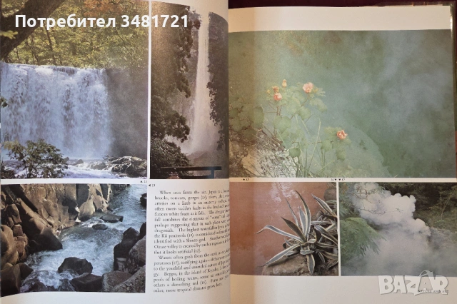 Япония - модели на приемственост / Japan. Patterns of Continuity, снимка 5 - Художествена литература - 54243921