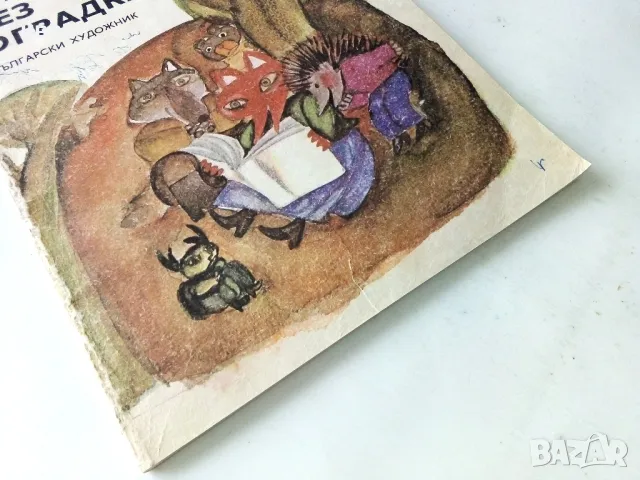 Градинка без оградка - Ц.Ангелов,Б.Стоев - 1980г., снимка 9 - Детски книжки - 50243282