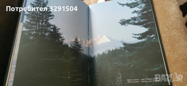 Албум Красотите на Югозапада