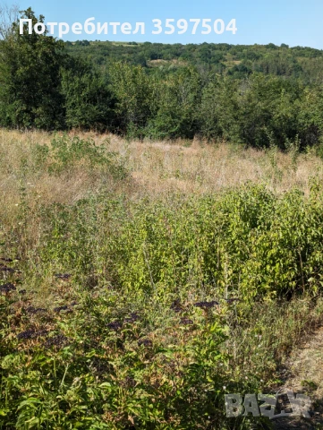 Парцел в регулация град Ловеч, в.з. Липака .1650 м2 . вода., снимка 2 - Парцели - 51178260