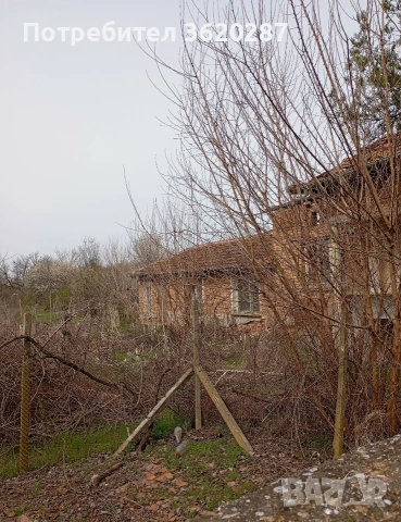 Двор с постройки 