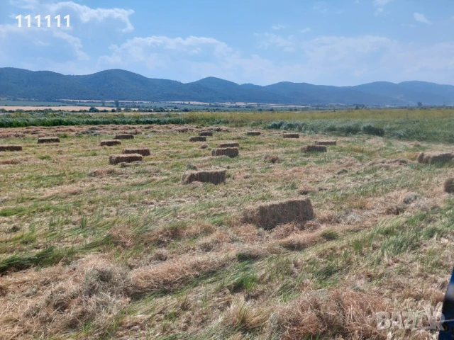 Продавам бали слама , снимка 3 - За селскостопански - 51257470