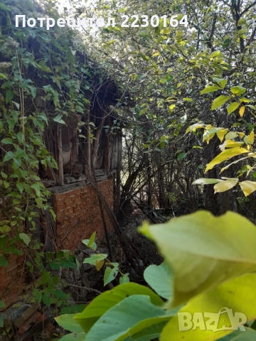 Продавам къща с.Рабиша, снимка 3 - Къщи - 52034975