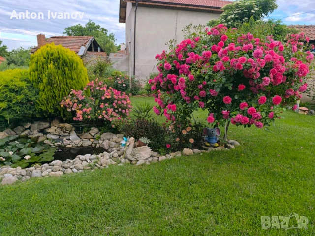 Къща в с.Малка Верея, снимка 7 - Къщи - 52617186