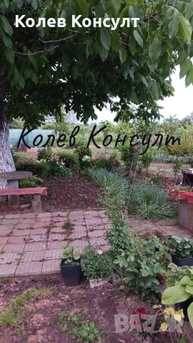 Стопанство гр.Симеоновград , снимка 12 - Други - 53814165