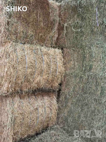 Люцерна на бали