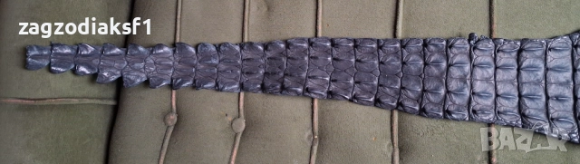 Челюст от Крокодил и Крокодилска кожа, снимка 7 - Колекции - 52465330