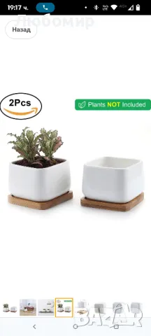 T4U Саксии за сукуленти, Саксии с бамбукови чинийки, Правоъгълен керамичен контейнер за кактуси

, снимка 5 - Декорация за дома - 49743229