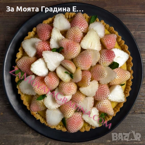 Ананасова Ягода - Бяла Ягода с вкус на Ананас , снимка 5 - Разсади - 53623978