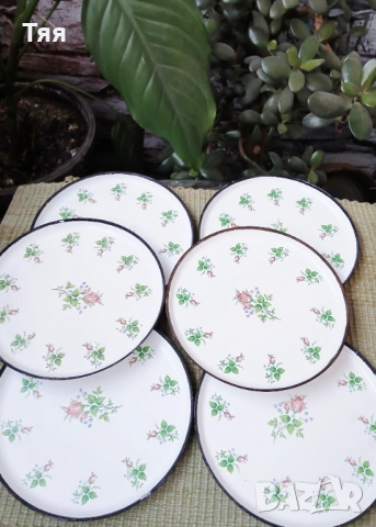 Емайлирани чинийки с рози 