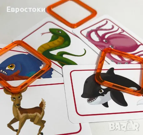 Asmodee Concept Kids: Animali (животни), настолна игра за 2-12 играча, 4+ години, италианско издание, снимка 3 - Игри и пъзели - 46934396