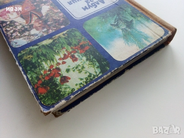 Албум за растения и животни - Н.Боев,С.Петров,П.Кръстев - 1976г., снимка 12 - Енциклопедии, справочници - 53185115