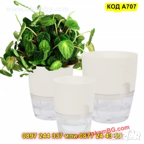 Средна пластмасова саксия с резервоар за вода - КОД А707, снимка 6 - Саксии и кашпи - 50317121