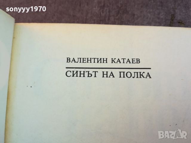 СИНЪТ НА ПОЛКА-КНИГА 0804241011, снимка 7 - Други - 45169886