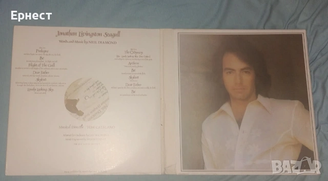 Грамофонна плоча първопреса на Neil Diamond – Moods , снимка 4 - Грамофонни плочи - 32684094