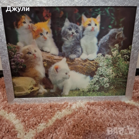 3 Д Картина за стена