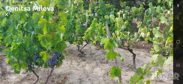 Парцел в регулация в.з. Люляците, снимка 4 - Парцели - 53290189