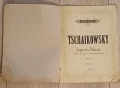 Това е издание на „Детски албум“ (Jugend-Album), Опус 39 от известния руски композитор Пьотър Илич Ч, снимка 1