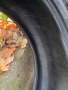 Летни гуми MICHELIN, снимка 6