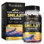 ПРОМО Shilajit Шиладжит желирани мечета 60бр, снимка 1
