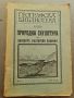 Природна скулптура по високите български планини 1920 Ж. Радев, снимка 1