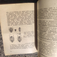 Продавам книга " Жилищните паразити и борбата с тях " Андрей Андреев 
, снимка 9 - Специализирана литература - 45022272