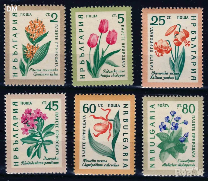 България 1960 - цветя MNH, снимка 1