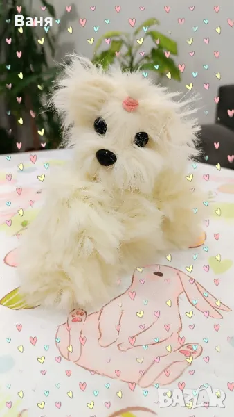 Плетено кученце, снимка 1