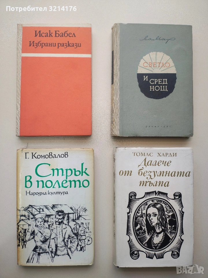 Далече от безумната тълпа - Томас Харди, снимка 1