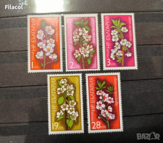 България 1975 г. Цветове на плодни дръвчета, снимка 1