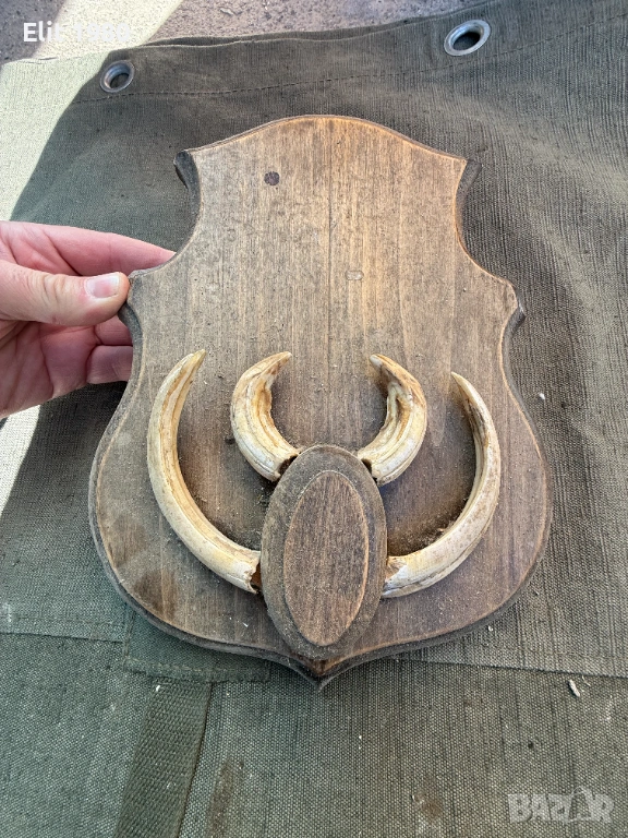 Ловен трофей , снимка 1