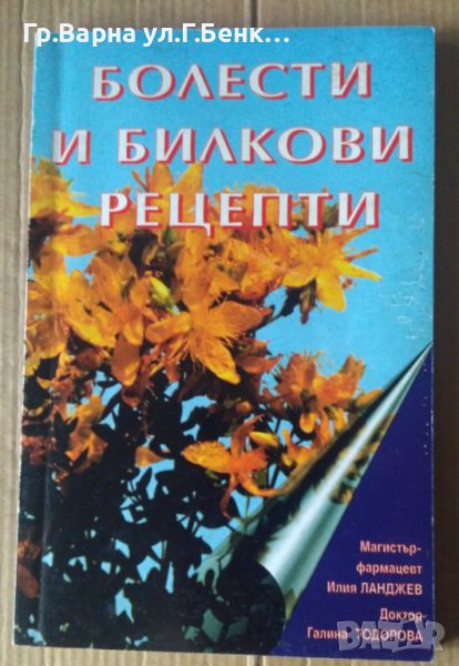 Болести и билкови рецепти Илия Ланджев, снимка 1