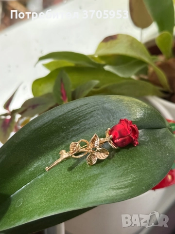 Нови брошки от 4лв., снимка 11 - Други - 52786793